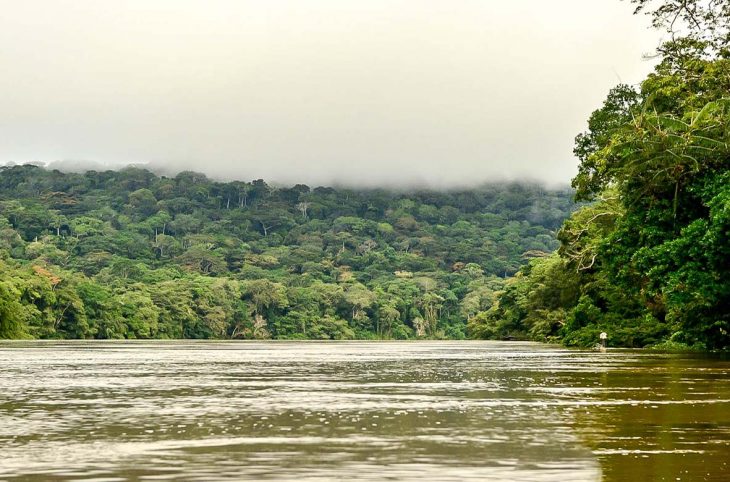 Centrafrique : la société chinoise DSTM promet de remédier aux conséquences de ses exploitations minières sur la rivière Sangha