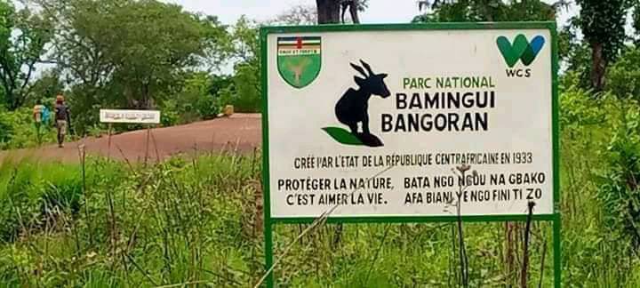 Centrafrique : médiation après une tension entre l’ONG WCS et la communauté de Bamingui