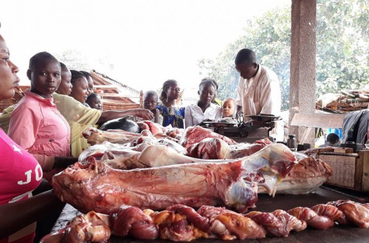 Centrafrique : la ville de Bambari aussi affectée par la pénurie de la viande de bœuf