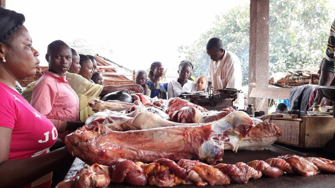 Centrafrique : la ville de Bambari aussi affectée par la pénurie de la viande de bœuf