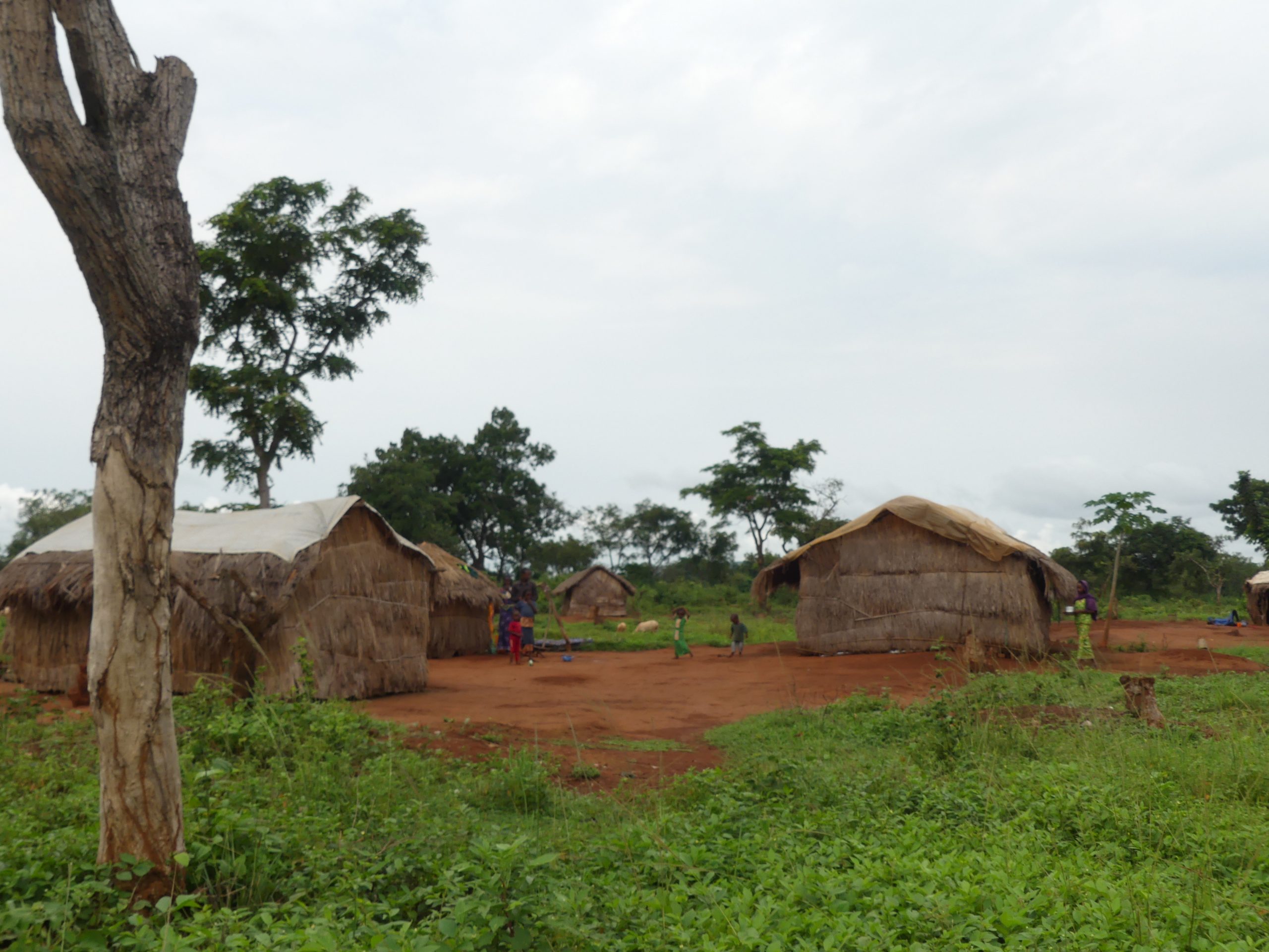 Centrafrique : des agriculteurs piégés par les premières pluies