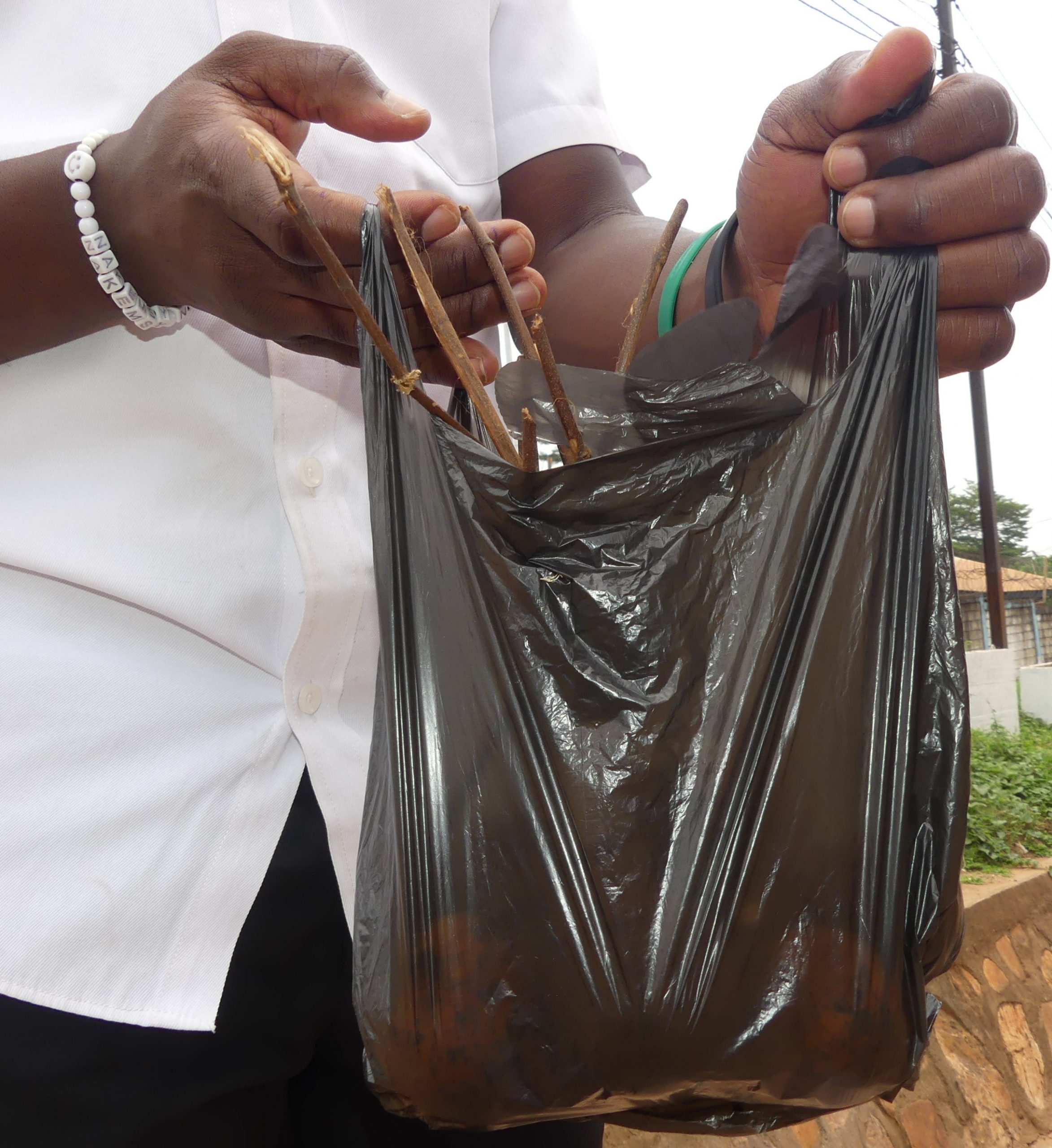 Centrafrique : célébration de la journée sans plastique, la loi interdisant l’usage des emballages non biodégradables est loin d’être appliquée