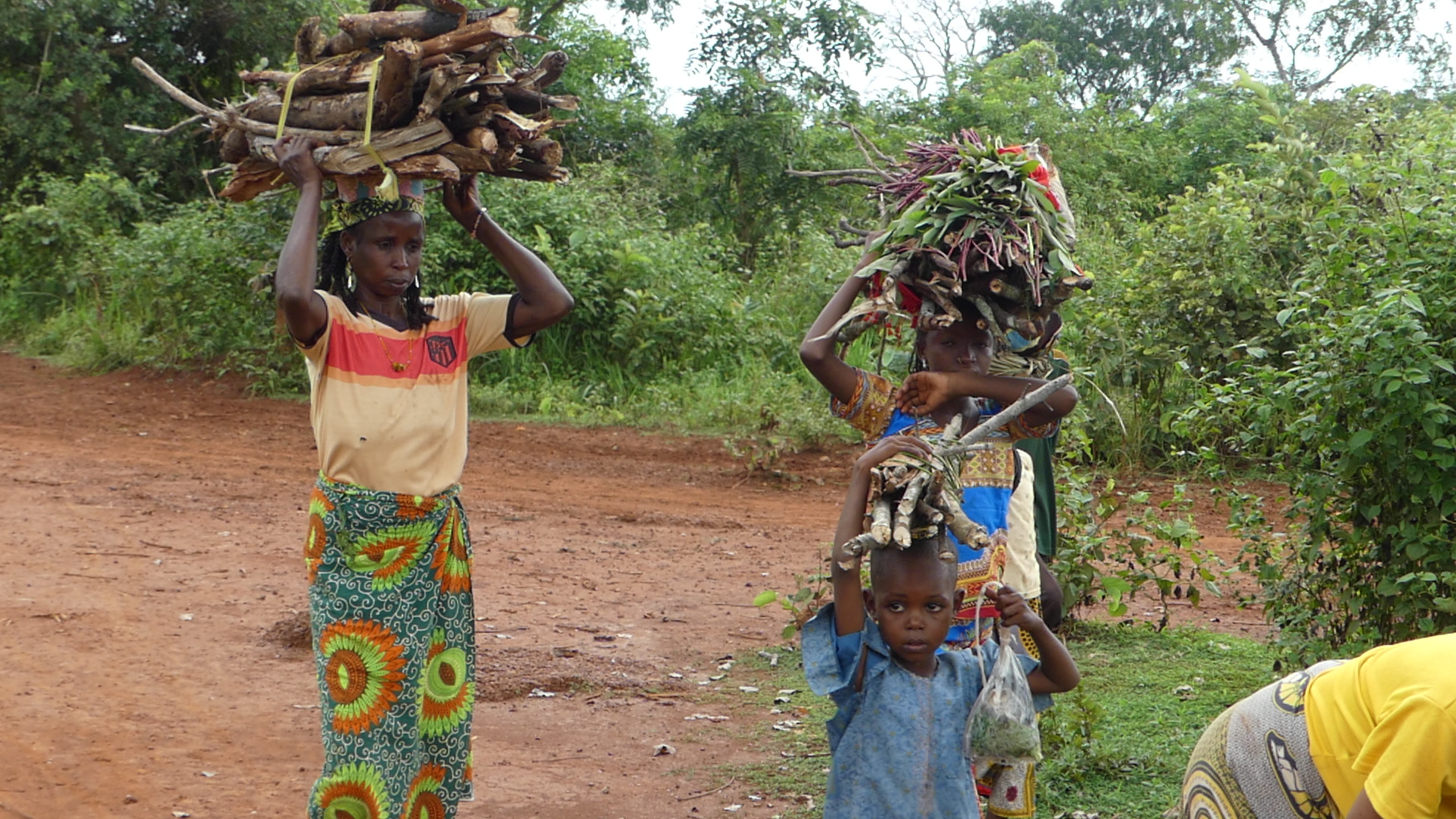 Centrafrique : d’éleveurs en agriculteurs, difficile adaptation des retournés de Djabarona