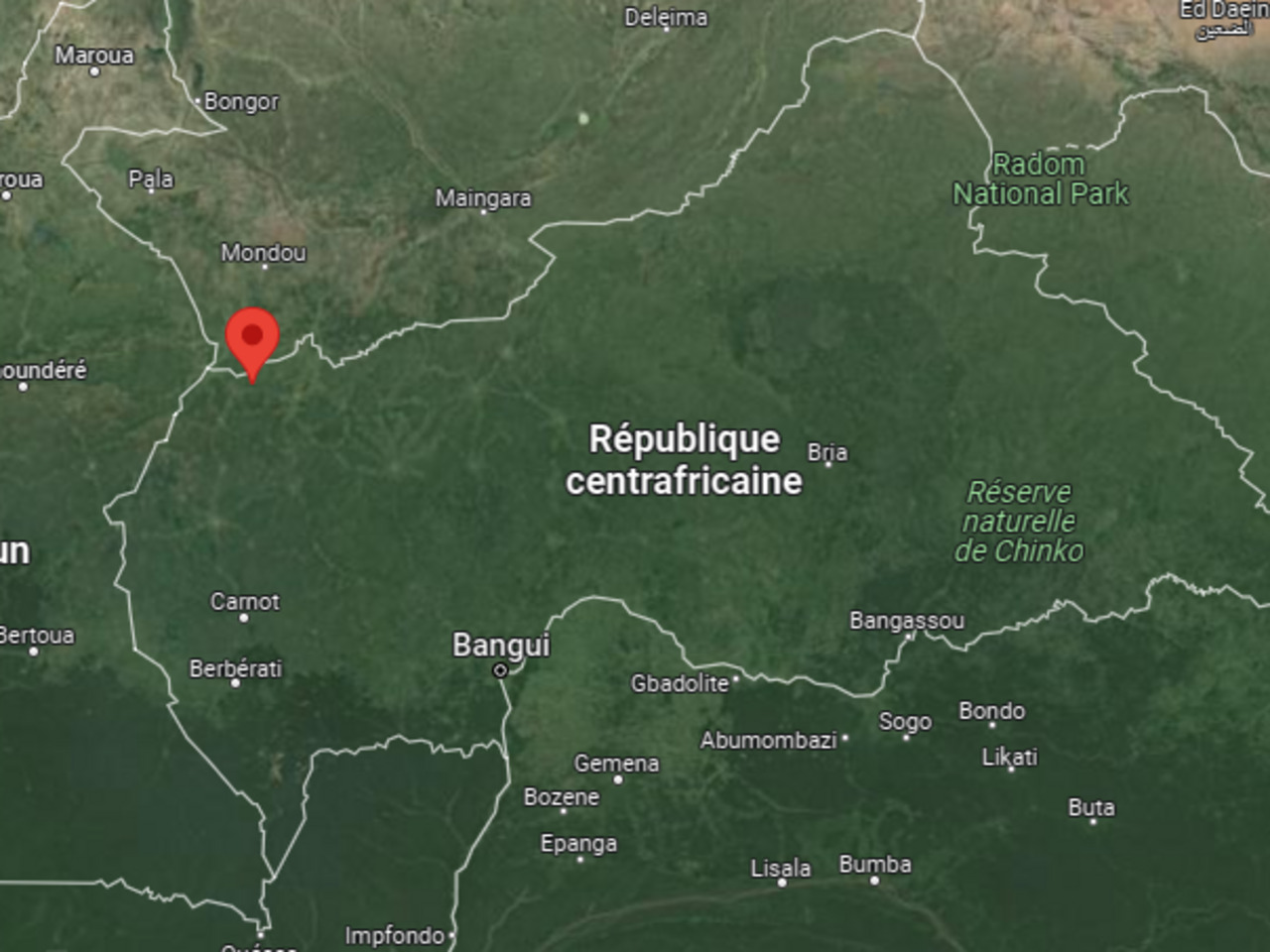 Centrafrique : un nouveau cas de la fièvre de la Vallée du Rift déclaré à Ngaoundaye