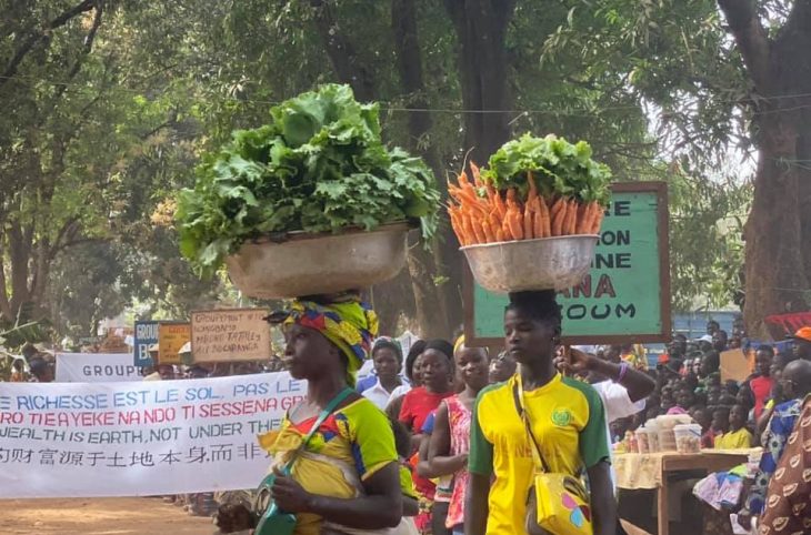 L'importance du poids démographique dans l'économie centrafricaine