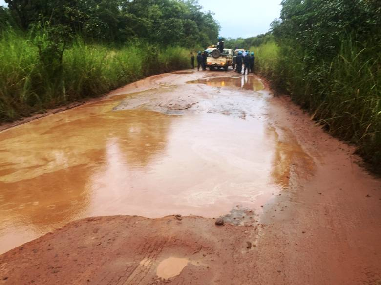 Centrafrique : les activités économiques mises à mal sur l’axe Berberati-Nola