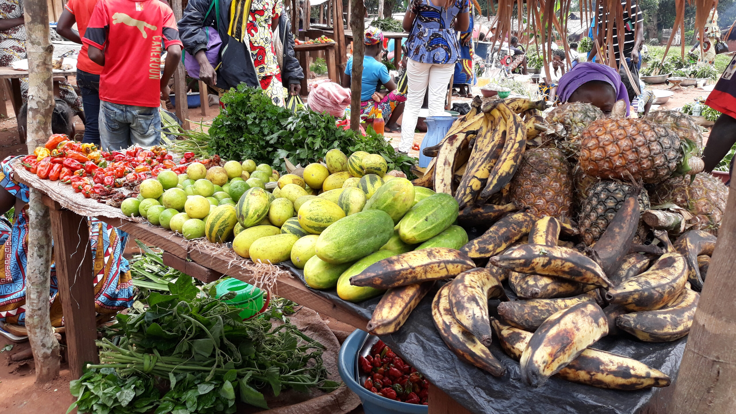 Bangassou : les produits alimentaires inondent le marché grâce aux activités maraichères