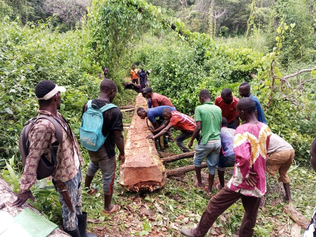 Centrafrique : le désenclavement, objectif communautaire dans la Haute-Kotto