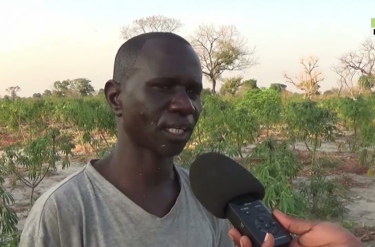 Vakaga: à la découverte de Mahamat Salet Assane, un jeune cultivateur de Birao